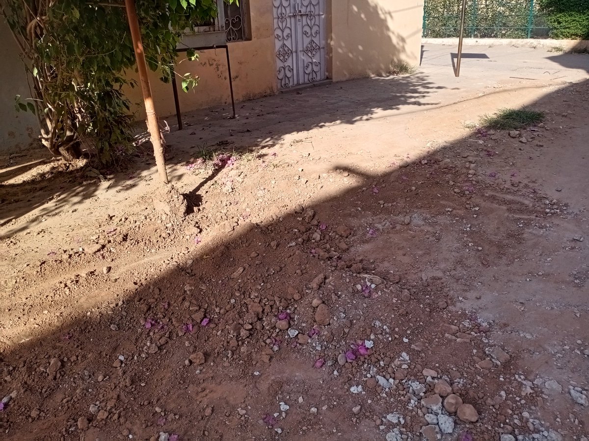 Abubakar Bin Tallat tweet media