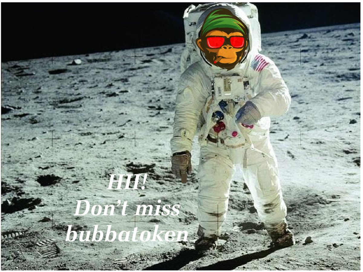 crypto LADY tweet media