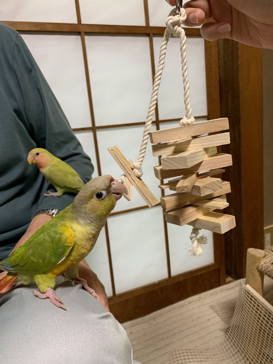 手作りおもちゃ Twitter Search 手作りおもちゃ Twitter Search
