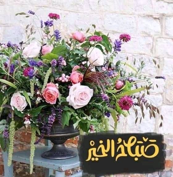 قليل من الماء ينقذك وكثير من الماء قد يغرقك !!..
 فتعلم دائما ان تكتفي بما تملك