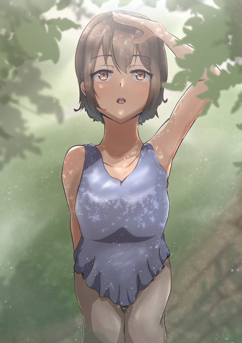 木漏れ日のtwitterイラスト検索結果