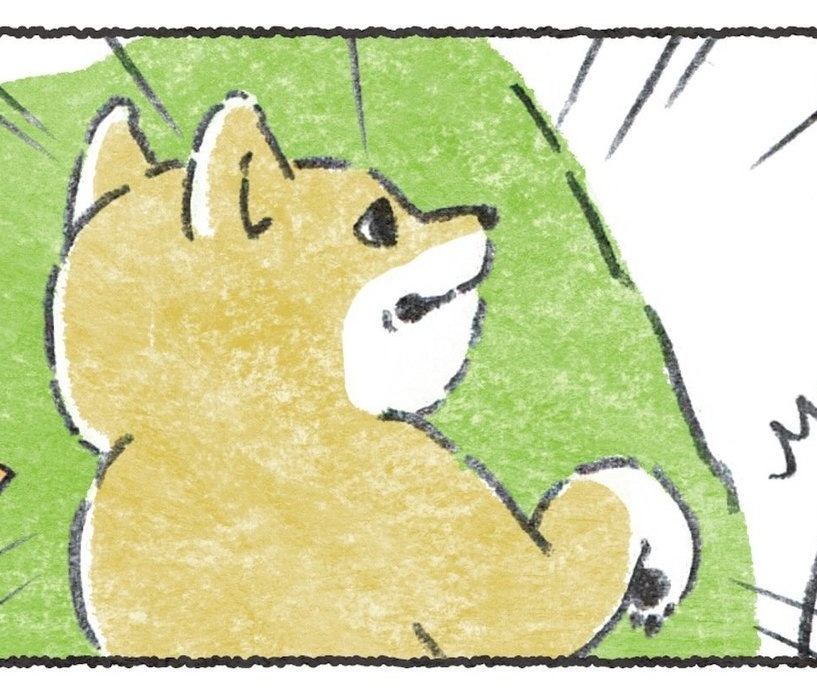 人か?って寝姿と、気配察した時の顔
描くのサイコーにたのしかった😂 