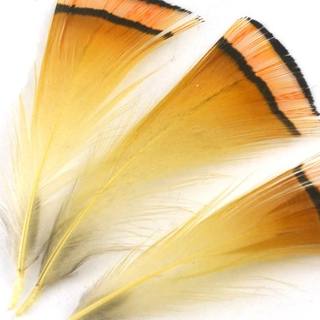 FFTCOUK's tweet image. #turrall #flytying #goldenpheasant
TURRALL GOLDEN PHEASANT TIPPET
Natural, or Dyed Red or Chartreuse
1 Gram pack
At a main stockist HERE &amp;gt;&amp;gt;&amp;gt;fly-fishing-tackle.co.uk/acatalog/Feath…