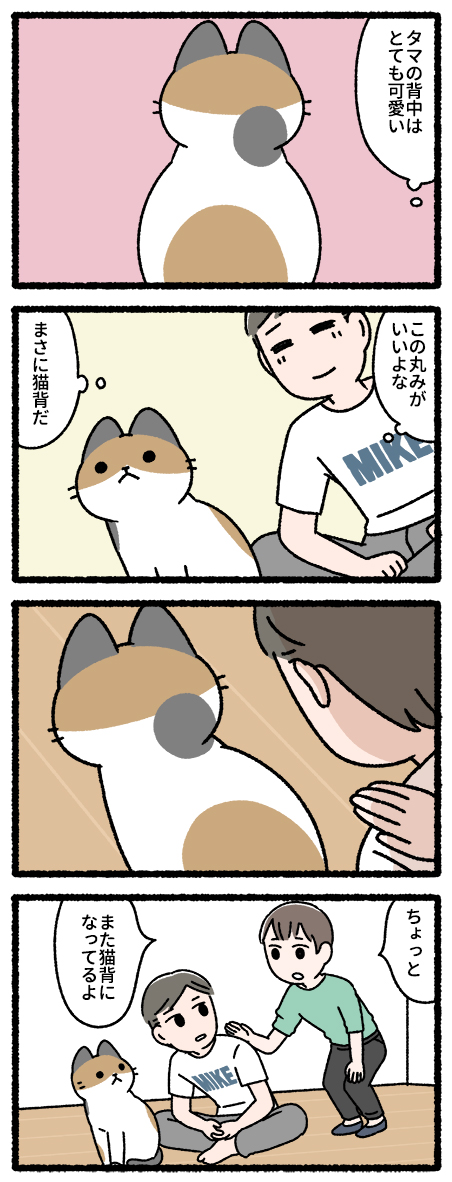 猫背 