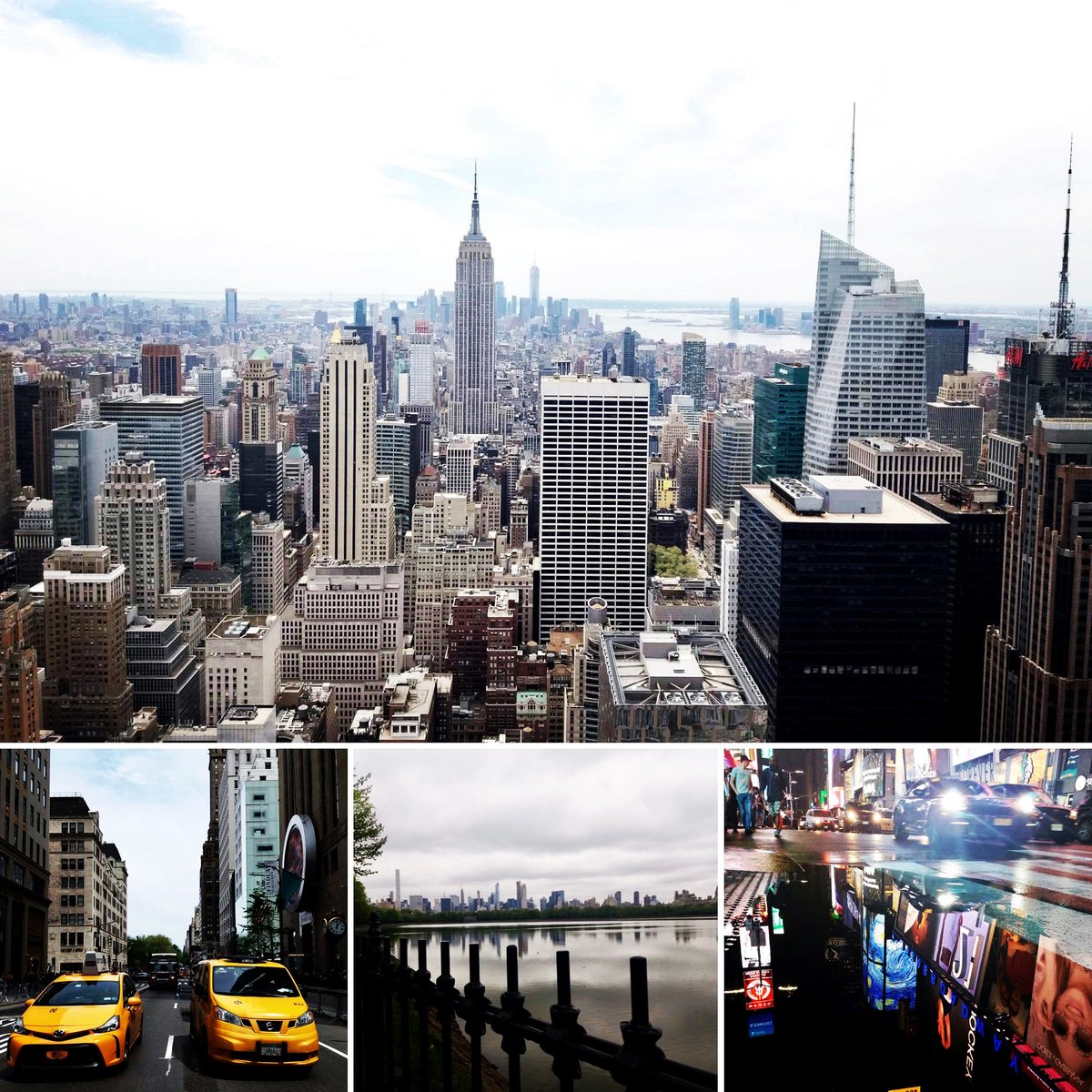 Greetings from New York!
Shipping safely your precious cells. Around the whole world.
#ivfcouriers #cryoshipping #shippingforIVF