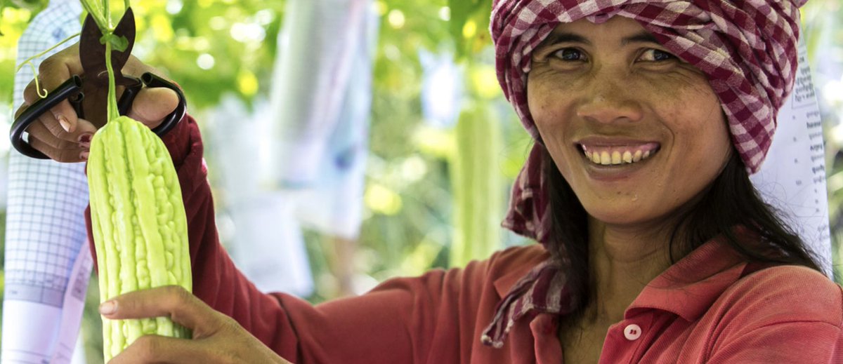 ADB_Europe's tweet photo. ADB, the Japan Fund for Poverty Reduction, @AFD_France, ASEAN Infrastructure Fund, and the Project Readiness Improvement Trust Fund are partnering to improve #Cambodia’s agricultural value chains.
#ADBPR2020
https://t.co/6BIYSepvlV https://t.co/hzAGtPUV5r