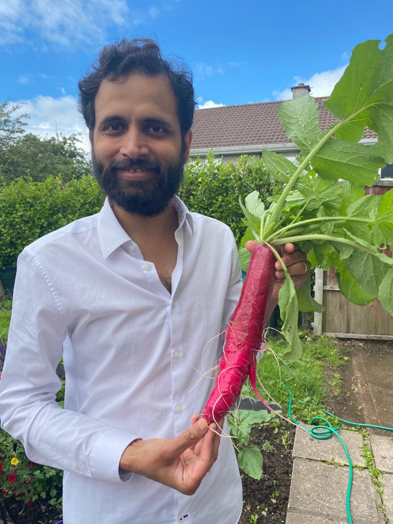 First harvest from the garden! Tonight's menu 'radish paratha with coriander(also from garden) and peanut chutney' 😋