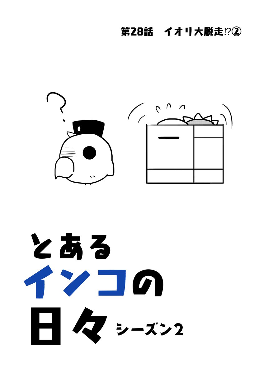 『とあるインコの日々』 29話 1/2

#インコ #4コマ漫画 #漫画が読めるハッシュタグ 
#創作漫画  #鳥 
