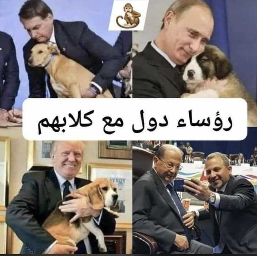 _queenmay's tweet photo. 😂😂😂😂 https://t.co/r6YaPkItHZ