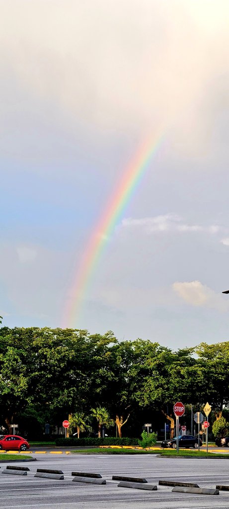 GessnerREAgent's tweet image. 🌈🌧⚡☁️🌞🌈 it's a beautiful day in the neighborhood.. a gorgeous start to  the week ...#pembrokepines #followthepinkcar @JenniferWXwoman @KeithCBS4 @FrancesWangTV @CBSMiami @LissetteCBS4 @DaveWarrenCBS4  @CraigSetzer  #cbsmiami #cbs4 #tastetherainbow #MondayMotivaton