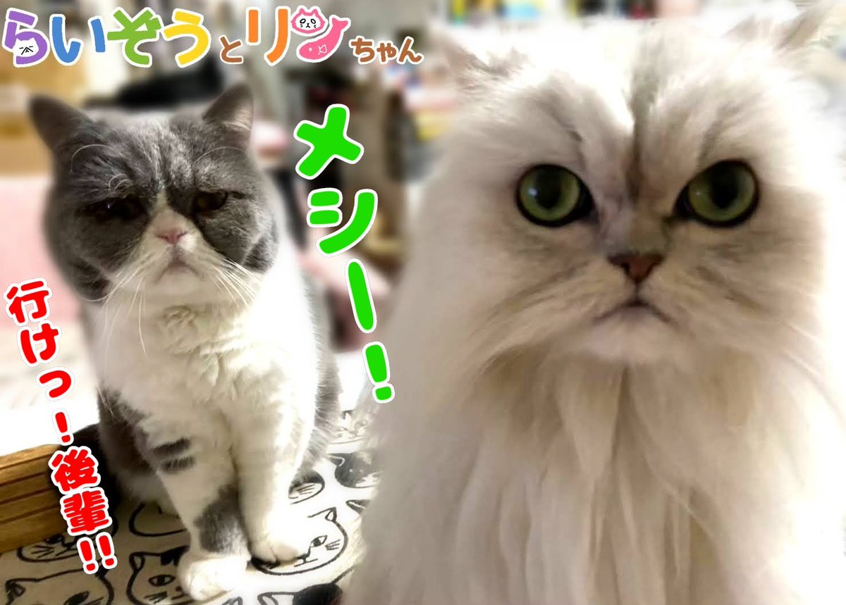 行徒 Yukit0o0 Twitter