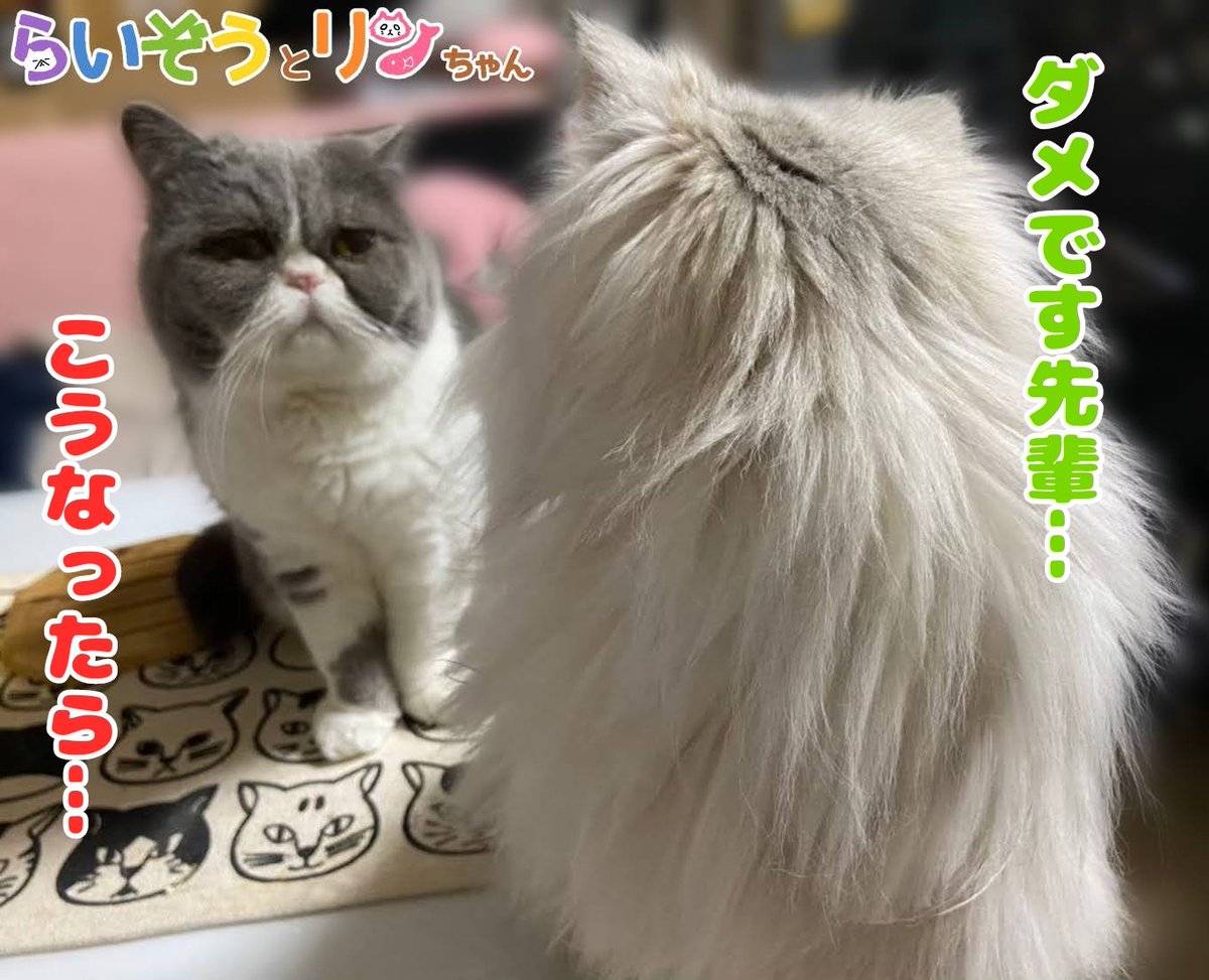 行徒 Yukit0o0 Twitter