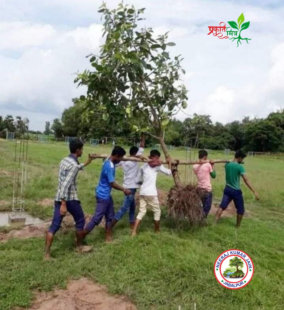 एक पेड़ की कीमत 💚 <a href="/PrakritiMitra1/">PrakritiMitra</a>