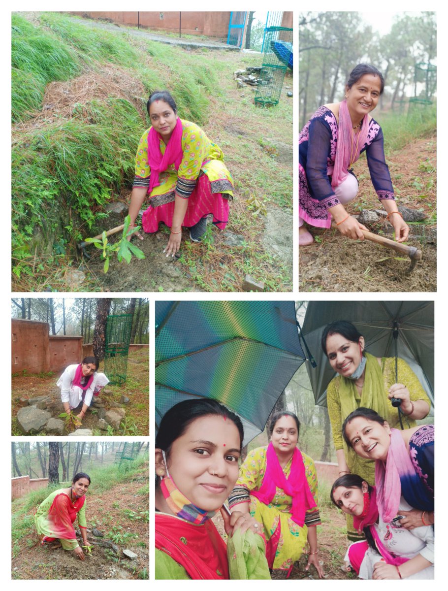 एक पौधा पुरानी पेंशन बहाली हेतु
#RestoreOldPension 
<a href="/nopruf_uk/">NOPRUF उत्तराखंड</a>