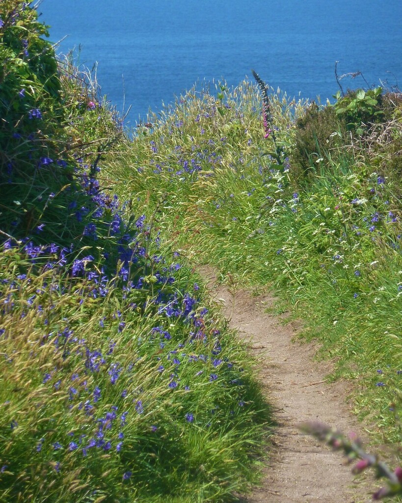 NaturalSilverCo's tweet photo. #cornwall #lovecornwall #cornwalllife #cornwallcoast #coast #coastal #kernow #kernowlife #walkingcornwall #amazingcornwall #sea #seaside #ocean #beautifulcornwall #love_cornwall #cornwallinfo #swisbest #ukpotd #cornwallliving #visitcornwall #explorecornw… https://t.co/R0t1NcQGpN https://t.co/8yHnowupa7