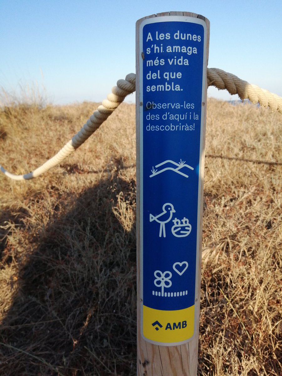 Sensibilización ambiental positiva. Comprender lo que está sucediendo en un medio natural ayuda a cumplir mejor las prohibiciones. Aprovechemos el aumento de conciencia social para mejorar el mensaje. Contacta con Pirinature Consultoria y te ayudamos a llevarlo a cabo.