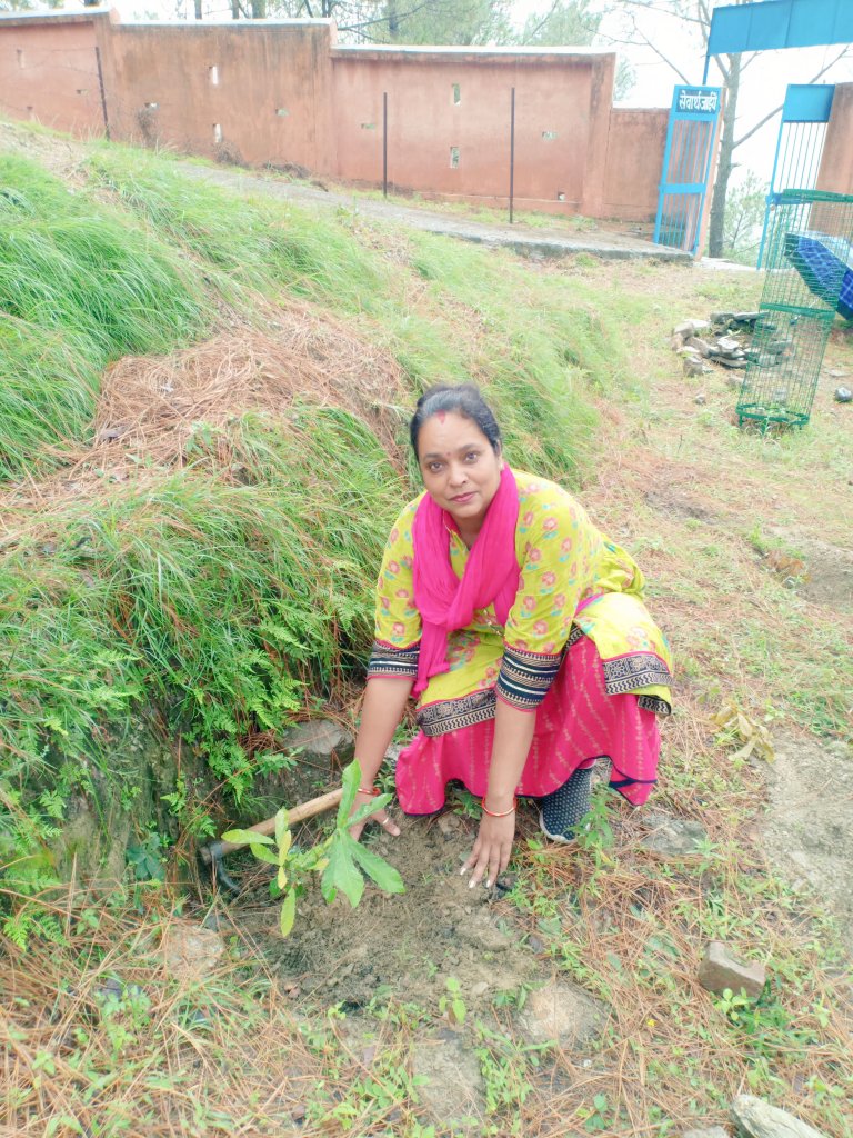 एक वृक्ष पुरानी पेंशन के नाम #OPS
<a href="/nopruf_uk/">NOPRUF उत्तराखंड</a> 
<a href="/SitaRam101981/">सीताराम पोखरियाल</a> 
<a href="/YogitaPant6/">Yogita Pant</a>