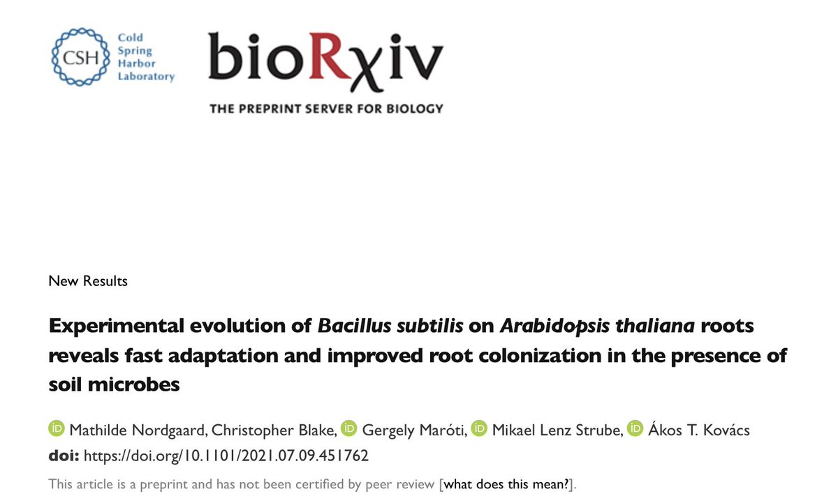 Akos T. Kovacs tweet media