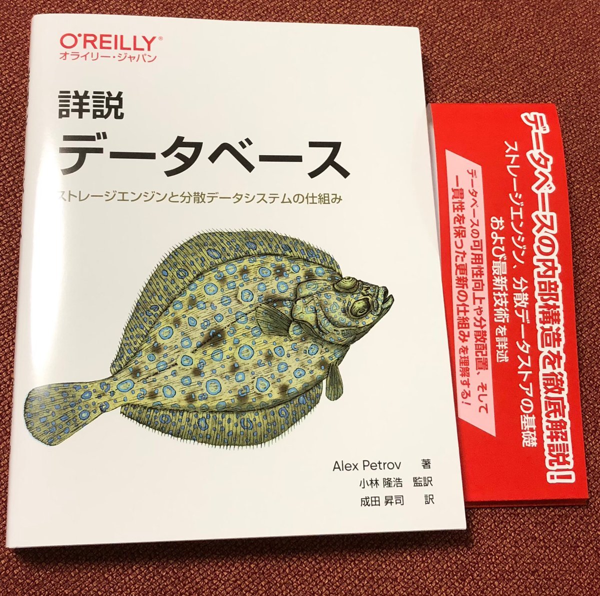 tzkb's tweet image. The Japanese translation of #DatabaseInternals has been published. It has attracted the attention of many engineers. Thanks to @therealdatabass