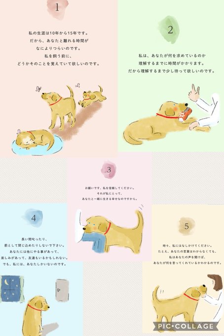犬の十戒のtwitterイラスト検索結果