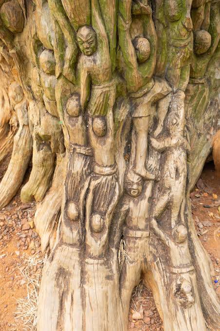 AfricaFactsZone's tweet photo. Wood carving on a dead tree, that is over 300 years old in Aburi Botanical Garden in Aburi, Ghana.

The carving shows proverbial people walking on top of each other to get to the top, and the Chief is at the top. https://t.co/siwRrWJ4be