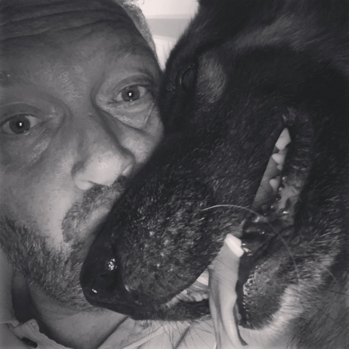 SergeantSkellen's tweet photo. Euro loss Love from Otto https://t.co/esDUUOA1iP