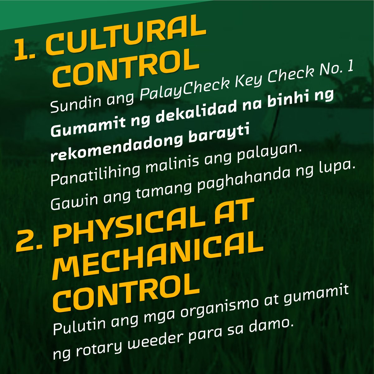 RCEFExt's tweet photo. 4 STRATEHIYA SA PAMAMAHAL NG PESTE

Follow and like @RCEFExt to be updated:
https://t.co/tppFS1MAuz

#PalaywakinAngGaling #yunPALAYun https://t.co/olQiim9spE