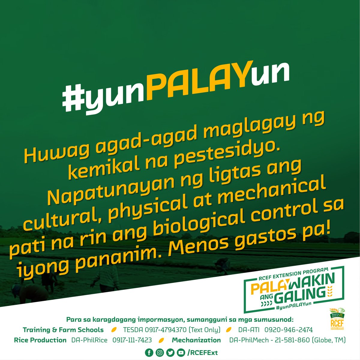 RCEFExt's tweet photo. #RCEFExt: Para sa karagdagang impormasyon, sumangguni sa:

Training &amp; Farm Schools
- TESDA 0917-4794370 (Text Only)
- DA-ATI 09209462474

Rice Production - DA-PhilRice   0917-111-7423

Mechanization - DA-PhilMech - 0932-869-6837 (local 102)

#PalaywakinAngGaling #yunPALAYun https://t.co/p8sgJcHJam
