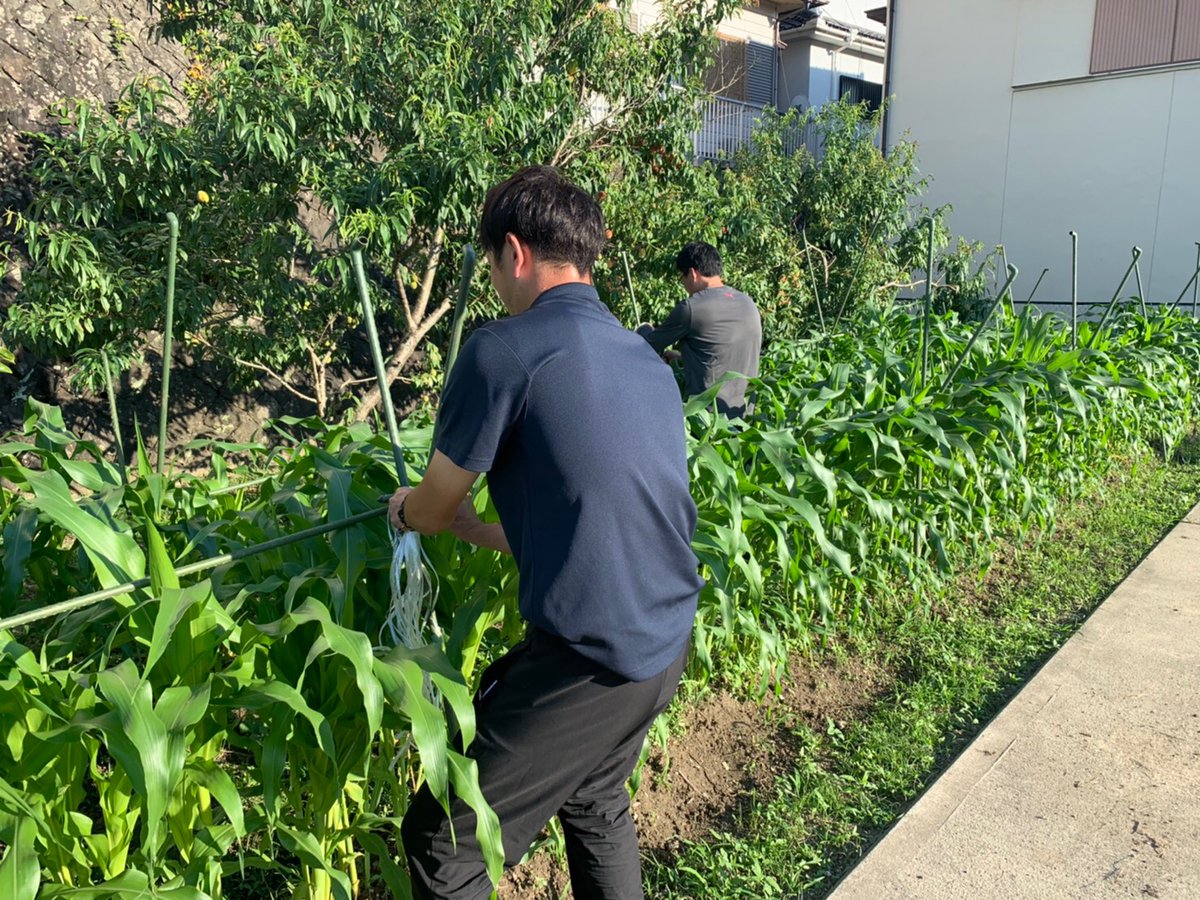 ひげ根 Twitter Search Twitter