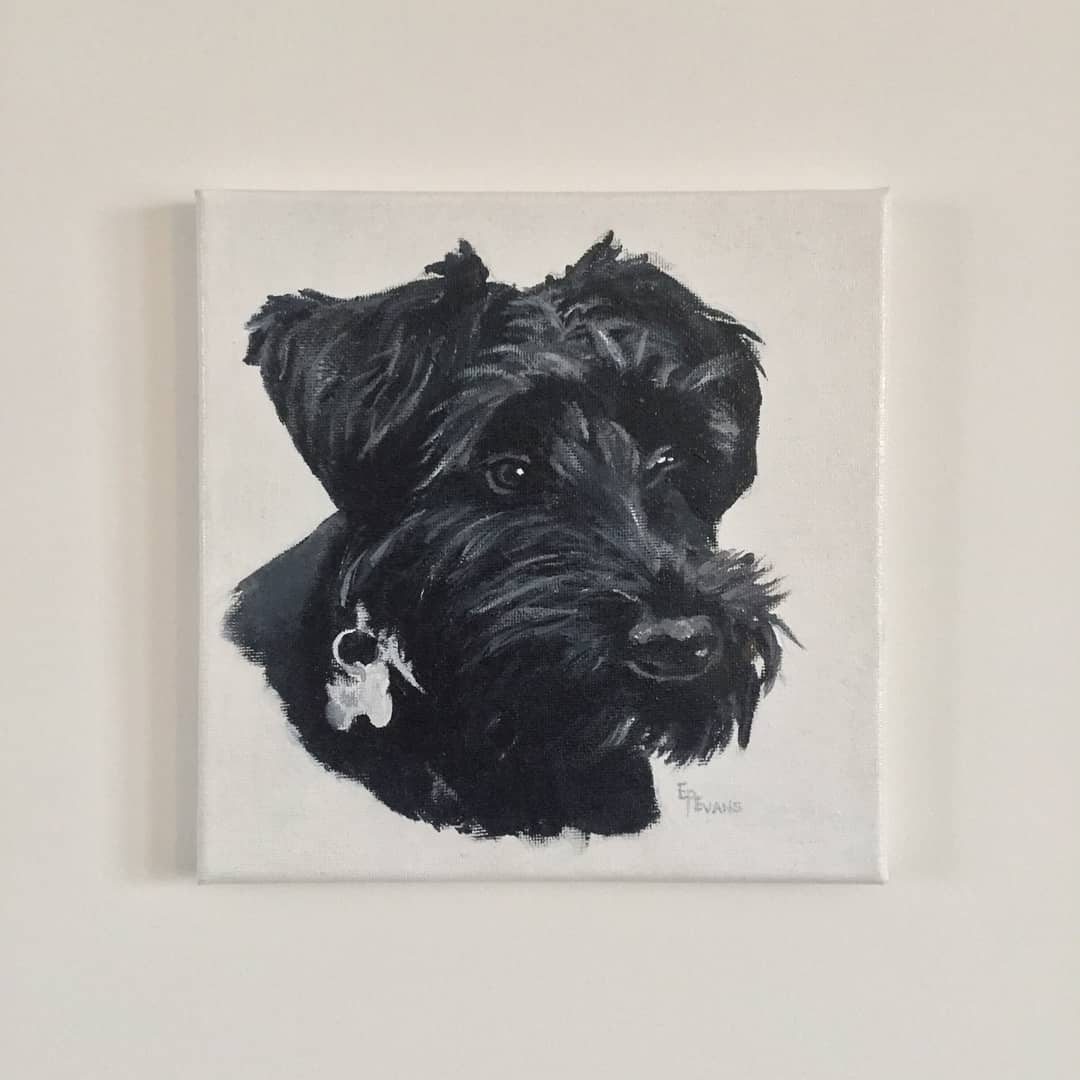 Latest commission, Nacho the miniature schnauzer! 20cm x 20cm, acrylic on canvas.

If I ever get a dog, I'd like one of these, so cute!

#dogpainting #dogcommission #miniatureschnauzer #acryliconcanvas #dogsoftwitter