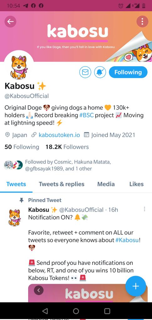 JimmyObel's tweet photo. @KabosuOfficial https://t.co/uMv3ZawB6v