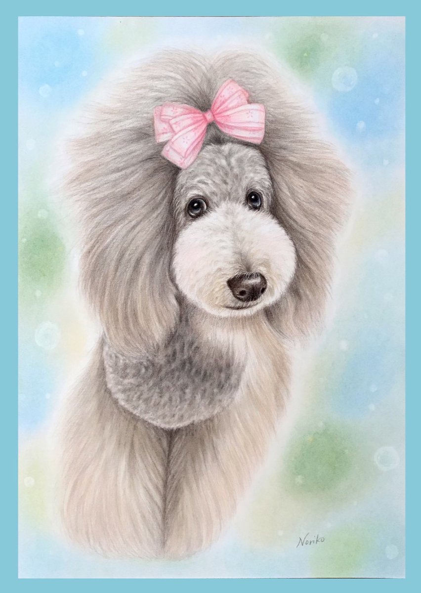 Nori 色鉛筆画 犬の絵オーダー スタンダードプードル 絵描きさんと繋がりたい キャビアちゃんの色鉛筆画ですー Nori 色鉛筆画 犬の絵オーダー スタンダードプードル 絵描きさんと繋がりたい キャビアちゃんの色鉛筆画ですー