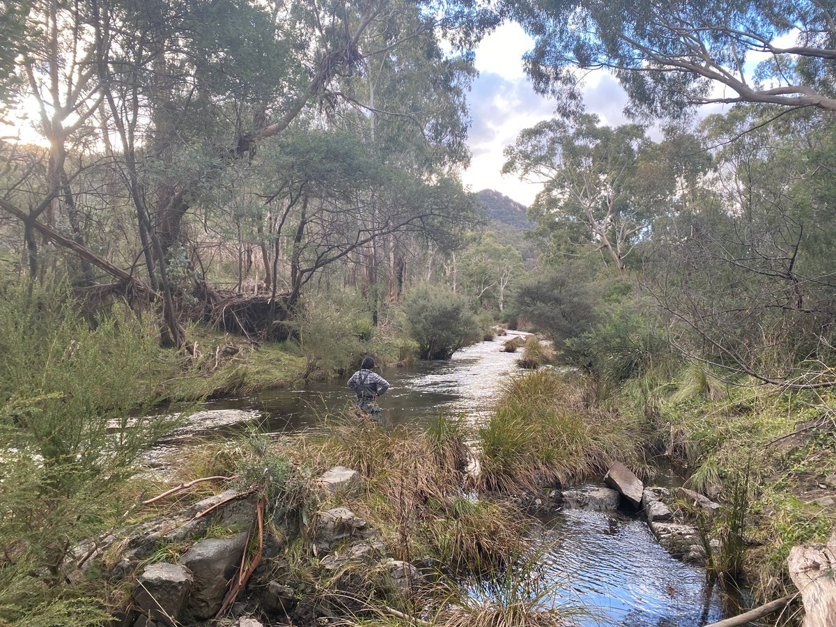 RStoios's tweet photo. So grateful when fieldwork takes you to see some pretty great scenery! Thank you @trishfishkoh I had so much fun #fieldwork #trout #freshwater #ecology https://t.co/BOZ12sCAyJ