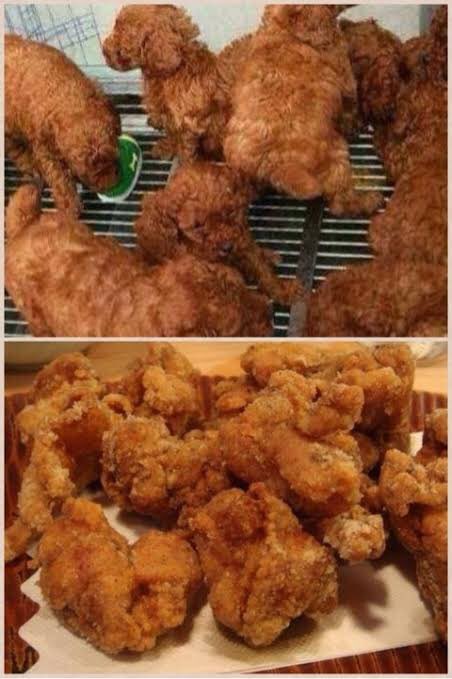 それいけポッキー 本垢 10万フォロワー達成 疲れてるとトイプードルが鶏の唐揚げに見えてくる画像 T Co Tyxfdxztzi Twitter それいけポッキー 本垢 10万フォロワー達成 疲れてるとトイプードルが鶏の唐揚げに見えてくる画像 T Co Tyxfdxztzi Twitter