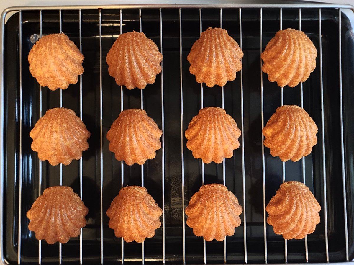 做了有濃郁椰子味道的貝殼瑪德蓮😆