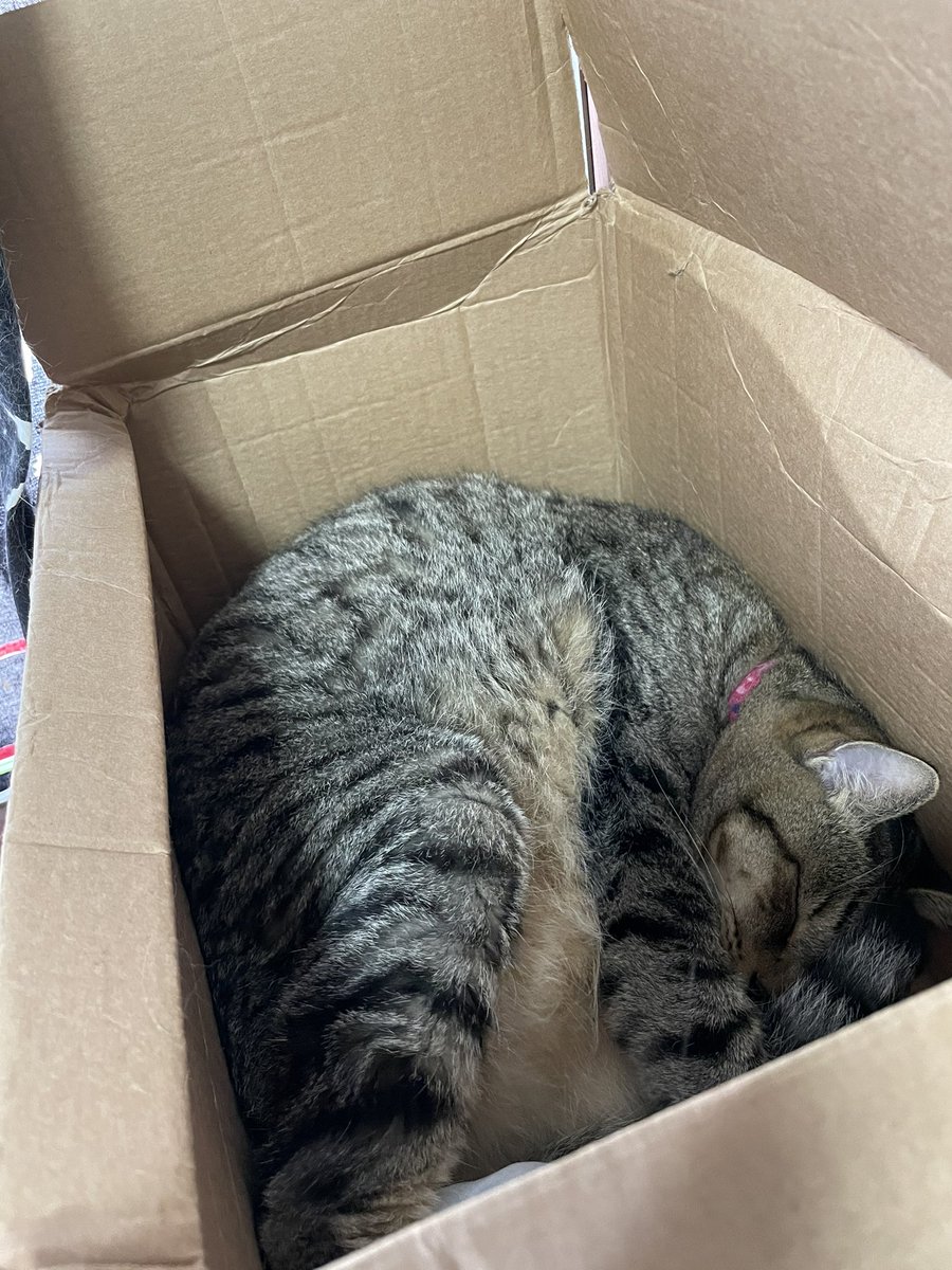 Bm8wcdpgpyfnfm Bm8wcdpgpyfnfm