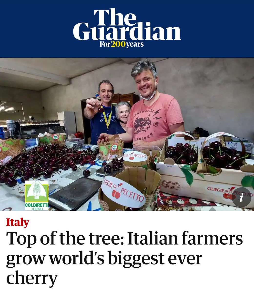 Flora Fine Foods tweet media