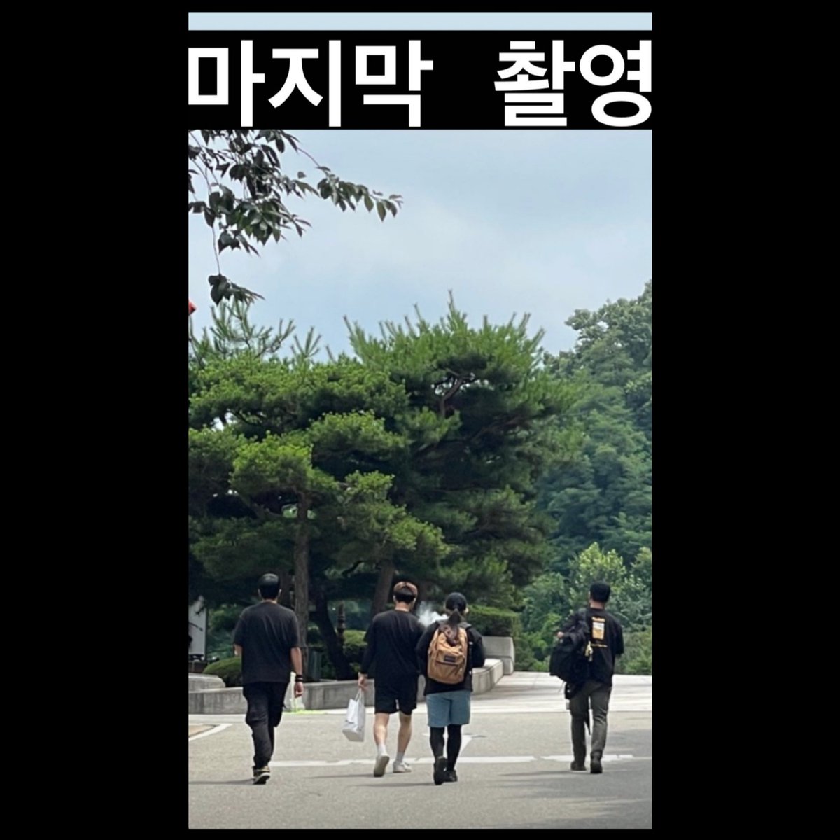 SNOWDROP ARCHIVE ❄️ tweet media