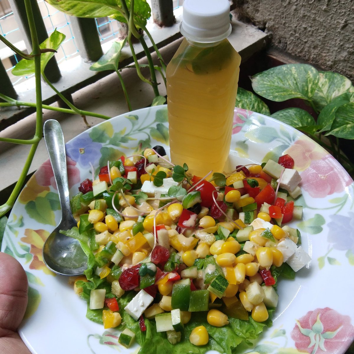socialvaishali's tweet photo. Beating Monday Blues with these Colours on my plate 
#eathealthy #foodie #thefoodiecouple #Multitaskingmommies #saladlove https://t.co/7wB39PslVR