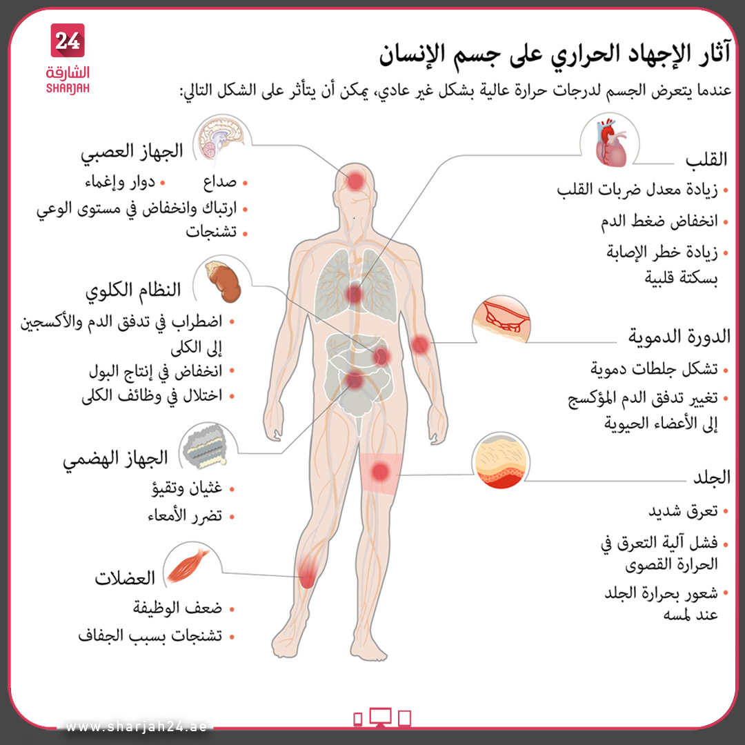 الشارقة 24 رسم توضيحي يبين تأثر جسم الإنسان عند تعرضه لدرجات حرارة مرتفعة الشارقة24