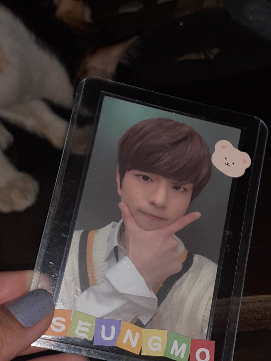 dda____ddda's tweet photo. — 🛒
seungmin member copy came home today !! thank u sm for keeping him safe <3
ps. luna was taking him away from me .. i guess she loves him too sobs
#pyonifeedbacks
@hyunjqwooya https://t.co/LLL9nyE7cH