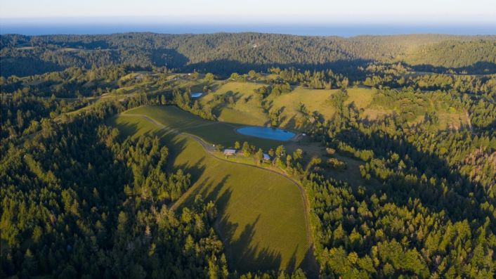 "Wine importers <a href="/ThormanHunt/">Thorman Hunt</a> have long had a tradition of offering some of the most glamorous names in California wine – #HarlanEstate, for instance – to buyers in the UK."

<a href="/JancisRobinson/">Jancis Robinson</a> explores Thorman Hunt's high-end #Californiawine portfolio.

jancisrobinson.com/articles/some-…