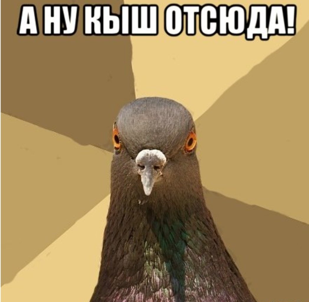 Шутки про ваню с матом