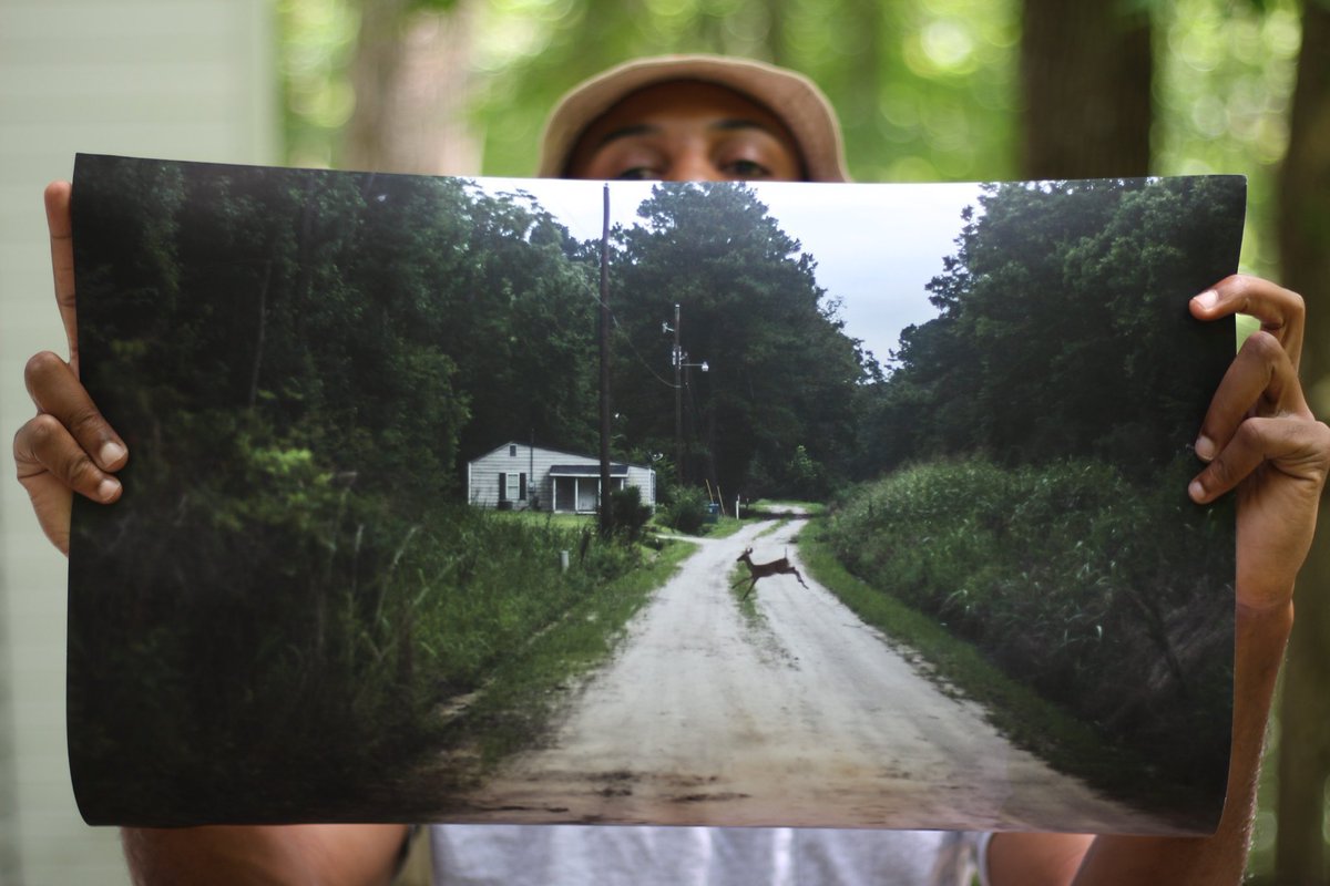 mentnelson's tweet photo. I’m a self-taught artist and photographer from rural South Carolina. It literally costs $0 to share my work. I sell prints at https://t.co/SKHpj5nhYA. Many of my pieces were painted using rain. My next collector might be on your timeline https://t.co/FNT7bLImjA