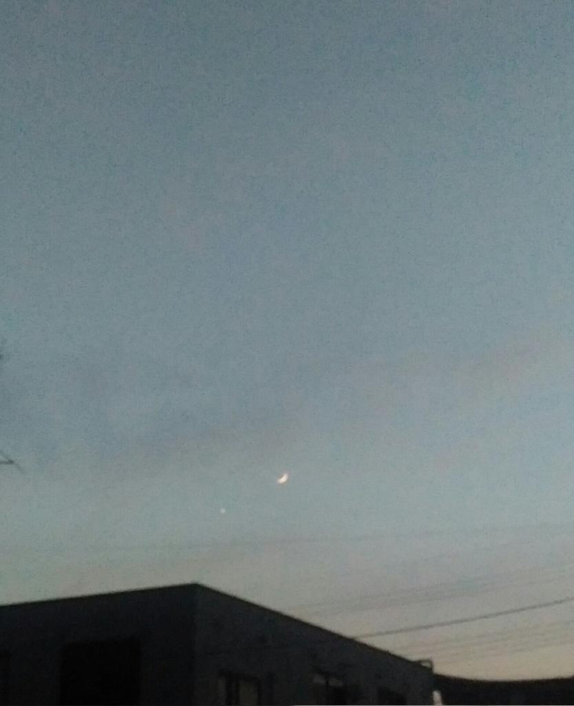 たろう＠単冠在住 tweet media