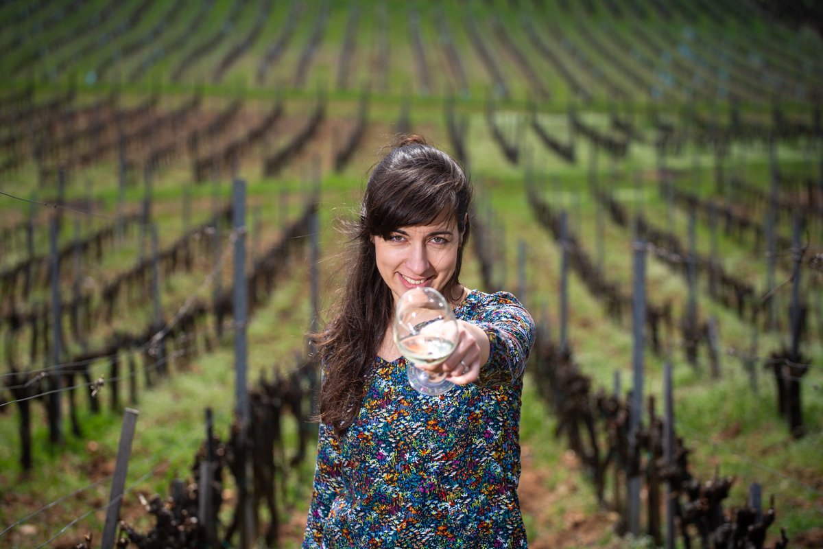 BartaWinery's tweet photo. 𝐓𝐡𝐞 𝐡𝐢𝐠𝐡𝐞𝐬𝐭-𝐥𝐲𝐢𝐧𝐠, steepest &amp; partly terraced stretches of Mád’s Király Vineyard were historically always distinguished. We have always attached this latter name to the single-vineyard wines we produce from this site: Ö𝐫𝐞𝐠 𝐊𝐢𝐫á𝐥𝐲 (𝐎𝐥𝐝 𝐊𝐢𝐧𝐠). #Tokaj https://t.co/b6DynpjFvn