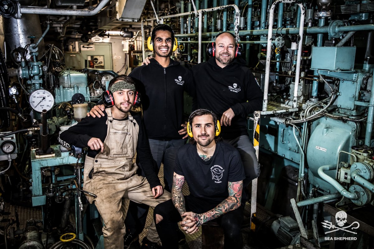 seashepherd's tweet image. 🔧ENGINEERS WANTED⚙️Deep in the bowels of our ships, our amazing teams of engineers not only keep us sailing forward, but also prove power, fresh water, and so many other crucial functions on the ships, which also means they get to know the ships better than anyone else! 💪1/3