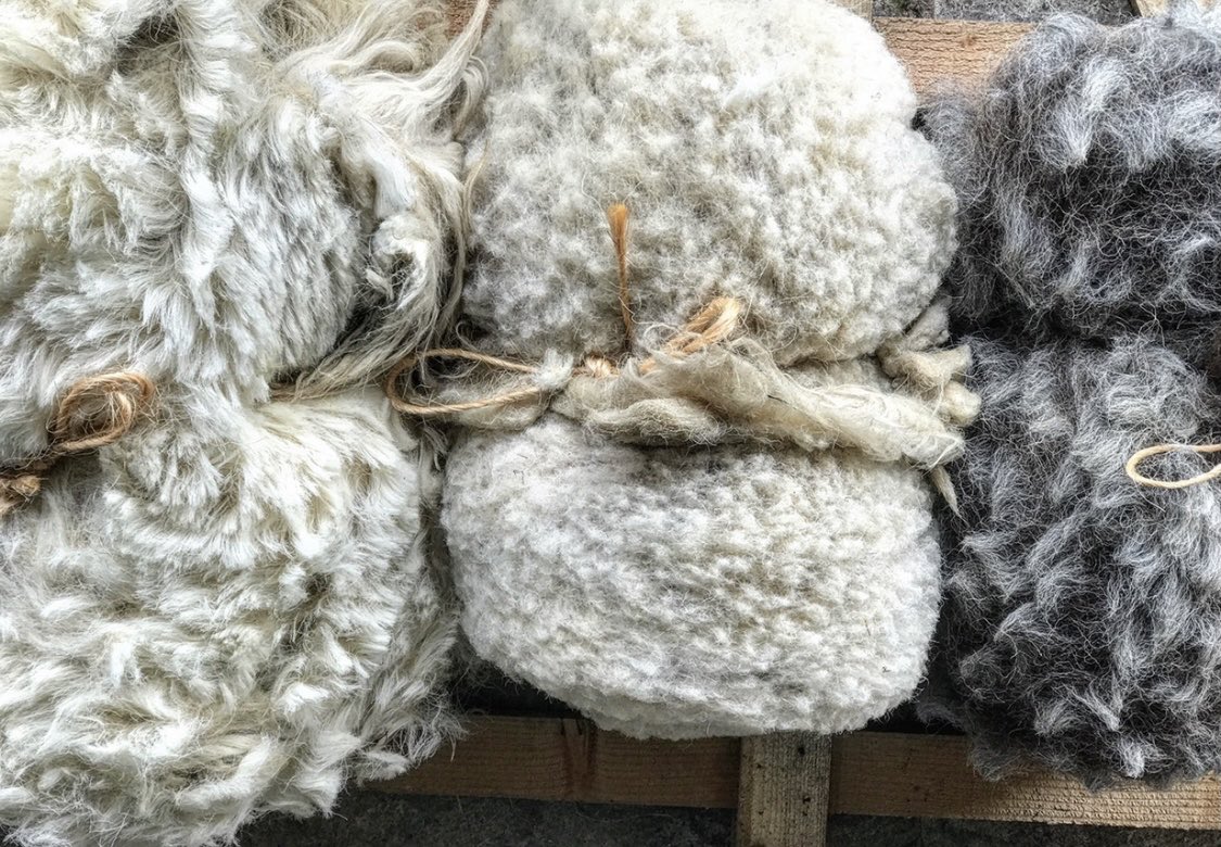 woolismybread's tweet photo. Sorting fleeces into three categories.. to be made into Rugs β¦. Tweed and Dog leads #woolclip #wool #farmyarn #shepherdess #doglead #tweed #rug @nfu https://t.co/ENoKiybEcy