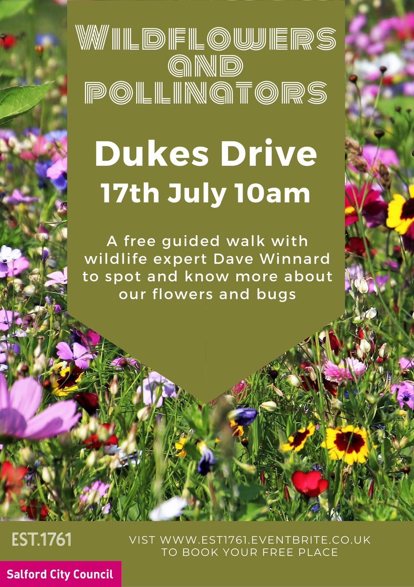 SalfordCanal's tweet photo. **GUIDED WALK THIS SAT**

Fancy a couple of hours strolling around Dukes Drive in the sunshine  learning about 🌷🌻🌼🦋🐜🐝?

Join us this Saturday 10am
.
.
@SalfordWildlife @ilovemonton 
#monton #dukesdrive #bridgewatercanal #nature #Ispy #guidedwalks https://t.co/Lbo4l7YXtk