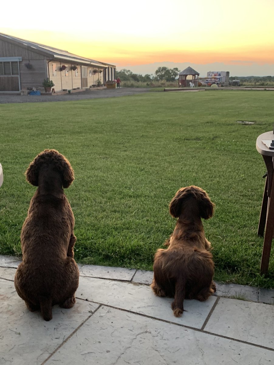 chunk_duke's tweet photo. Hope you all had a good weekend, we did 🥰🥰🥰 https://t.co/glfmTpBQ2U